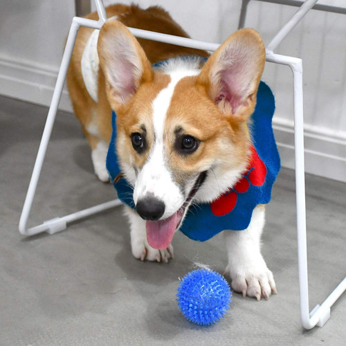 Squeaky Fetch Spike Balls Juguetes De Tpr Para...