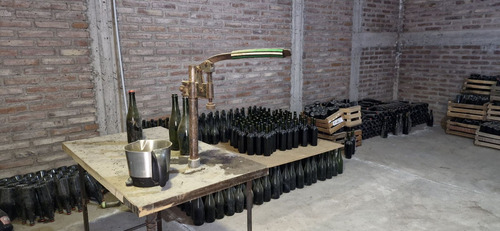 Finca, Bodega Artesanal Y Casa En San Rafael, Medoza.