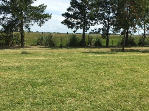Imagen 6 de 14 de Terreno En Venta En Posadas De Los Lagos