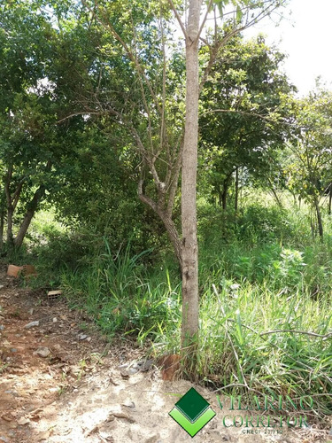 Imagem 9 de 15 de Lote Em Capim Branco Represa Ville Perto Da Lagoa - 3094