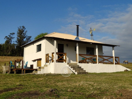 Imagen 5 de 30 de Las Anacahuitas En Lavalleja