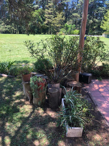 Imagen 12 de 14 de Alquiler Hermosa Quinta Zona El Remanso 5