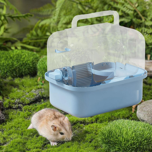 Hamster Cage Ejercicio De Juego De Juego Con Hábitat Azul