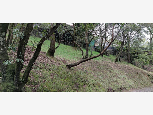 Imagen 4 de 8 de Venta Terreno 1 San Bartolo Ameyalco