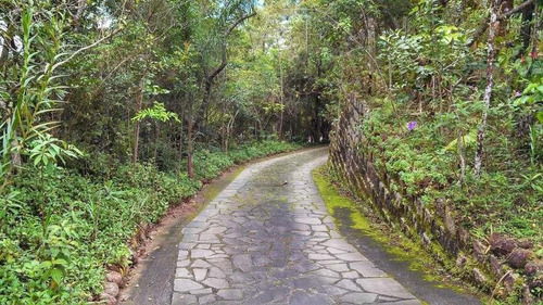 Imagem 17 de 30 de Terreno Residencial À Venda, Sambaqui, Florianópolis. - Te0407