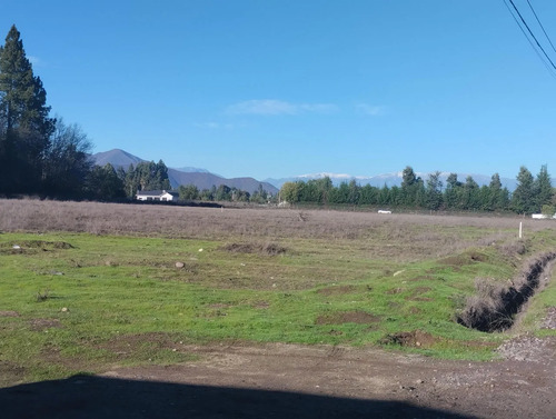2parcelas Colindantes 5300 M2 C/u En Condominio Calera Tango