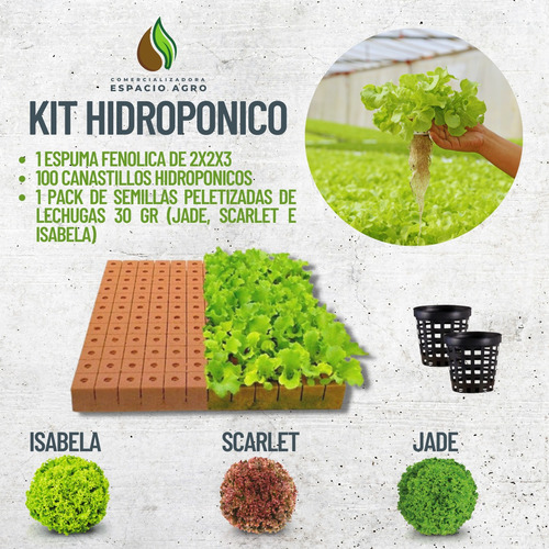 Kit Hidropónico (espuma, Canastillos Y Mix De Semillas)