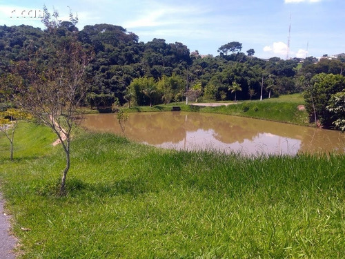 Imagem 3 de 15 de Terreno - Parque Mirante Do Vale - Ref: Ri4611 - V-ri4611