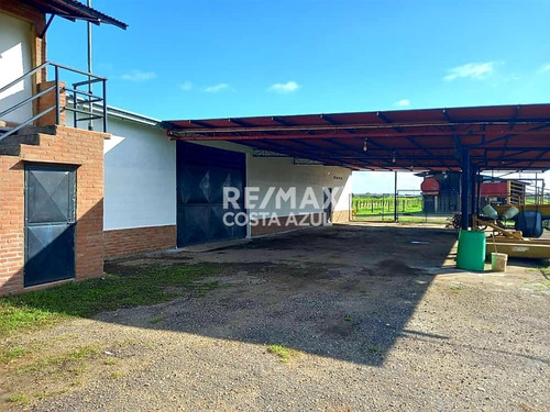 Imagen 3 de 15 de En Venta Finca De 45 Hectáreas De Terreno Plano, A Orilla De Carretera En El Alto, Yaracal.