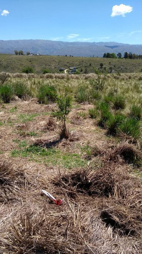 Imagen 5 de 8 de Terreno 440 M2 - Yacanto Calamuchita