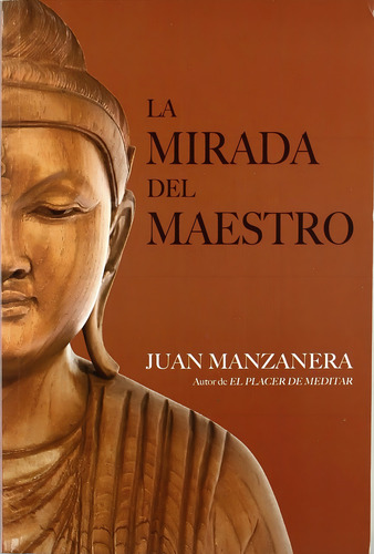 La Mirada Del Maestro