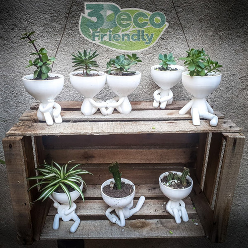 11 Macetas 3decofriendly Suculentas Cactus Robert Plant