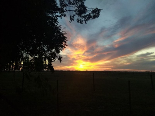 Estancia Turistica Chascomus