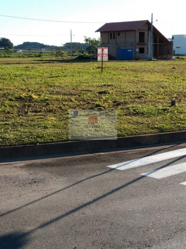 Imagem 3 de 13 de Terreno No Itinga Com 0 Quartos Para Venda, 263 M² - Ft1385