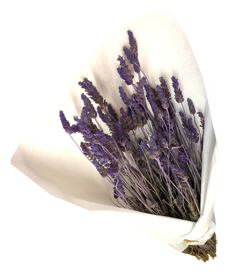 Flor Lavanda Natural | MercadoLivre 📦