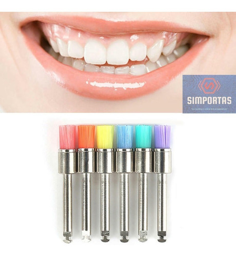 Imagen 1 de 5 de Escobillas Profilaxis Dental 100u Colores Envio Gratis! Stgo