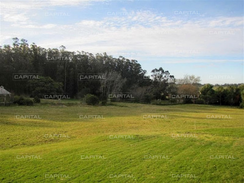 Imagen 17 de 30 de Espectacular Chacra En Manantiales Venta- Ref: 26517