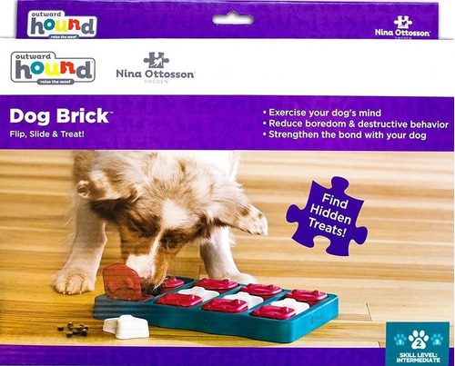 Dog Brick Outward Hound