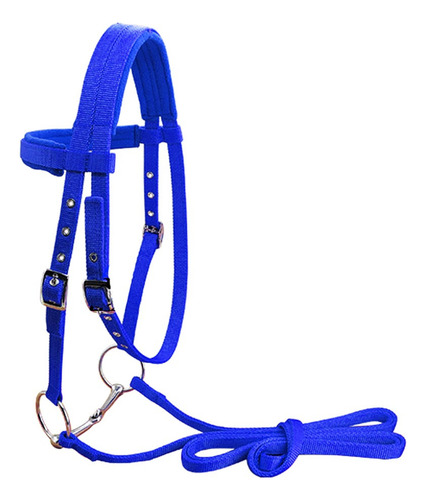 Brida De Nylon Para Montar A Caballo Azul L