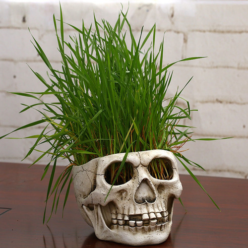 Maceta Plantada Con Forma De Cabeza De Calavera De Resina