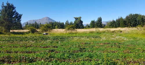 Terreno En Las Golondrinas - Chubut.