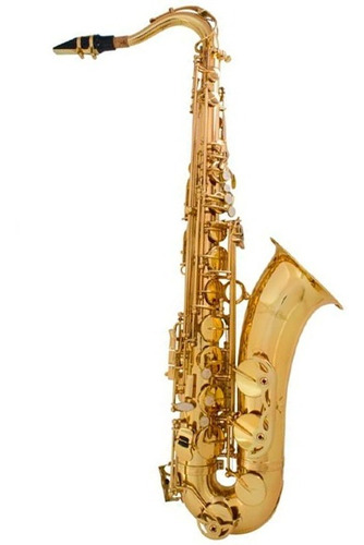 Saxofone Tenor Shelter Laqueado Dourado Sgft6435l Com Case