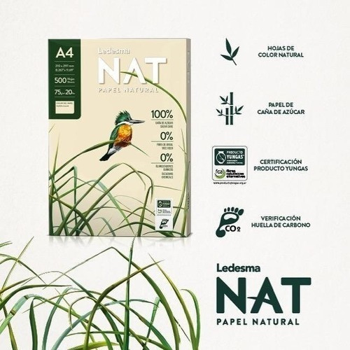 Imagen 2 de 10 de Caja Resma Ledesma Nat A4 75grs Natural X 250 Hojas - Eco