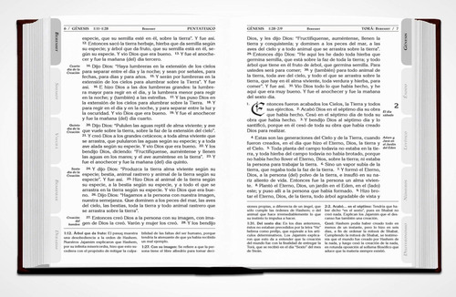 Imagen 5 de 10 de El Tanaj (la Biblia) Traducido Y Comentado Tapa Dura