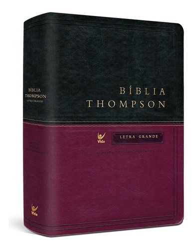 Biblia De Estudo Thompson Letra Grande Cp Luxo Verde E Vinho