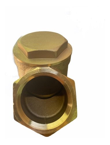 Valvula Check Piston Bronce 1 1/4 (32 Mm) Caja 4 Pz