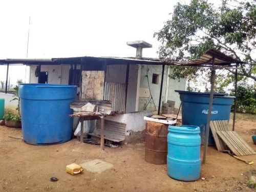 Imagen 24 de 30 de Jose Lopez Ofrece Finca ( Granja Avícola / Agrícola ) En Venta Vía A Duaca Caserio Guayabal Cordero Lara, Venezuela ,j G L Rent - A - House Telf. 0414-5533925 Cod # 22-16836 $ 15000