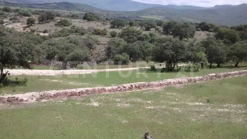 Terreno En Venta En Comanja De Corona En Lagos De Moreno Jal.