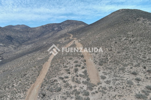 22 Parcelas De 5,000 M2 En Venta El Hinojal,valle De Elqui.