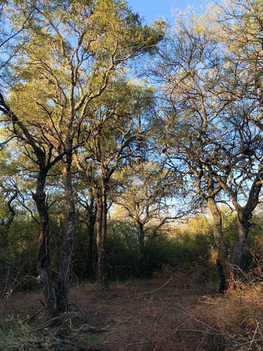 Imagen 7 de 16 de Lotes De 1000 M2 Camino A San Javier - Posesion / Las Tapias - Traslasierra