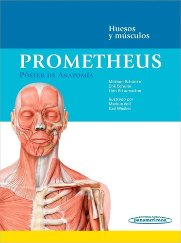 Prometheus:poster Anatomia.huesos-musc. (libro Original)