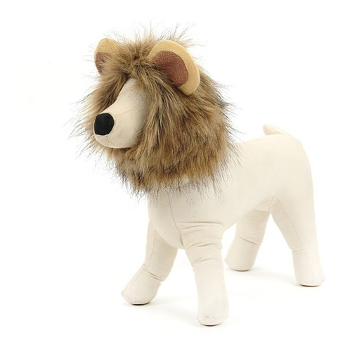 Imagen 2 de 6 de Gato León Melena Mascotas León Traje Para Mascotas León Cabe