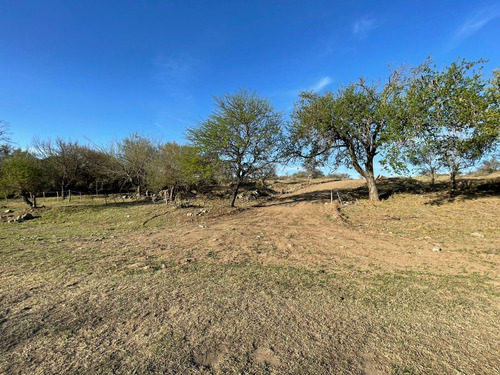 Lotes En Venta En Villa San Isidro, Cordoba