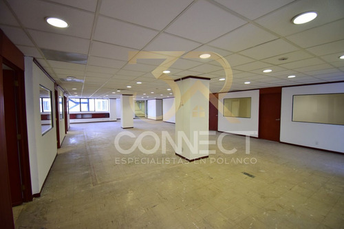 Oficina En Renta En Anzures 22c/3b/1e - Excelente Ubicación - 650m2