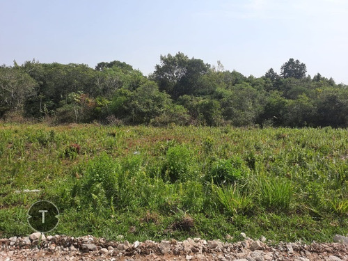 Imagem 4 de 12 de Terreno A Venda No Bairro Tupy Em Itanhaém, Com Entrada De R$ 4.000,00 Reais E Parcelas De R$ 549,00 Reais Fixas. - Te00040 - 70170433