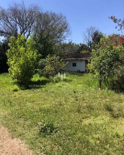 Linda Casa Térrea No Bairro Terra Nova - Ch00147 - 34483884