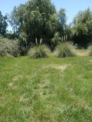 Parcela  7000 M Tipo Oasis Con Luz Y Agua En Codigua
