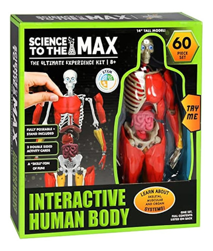 Juego De Mesa Ciencia Al Máximo Be Amazing! Toys ;o