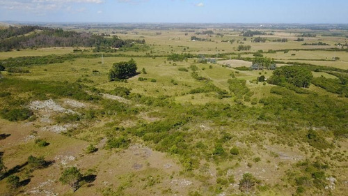Imagen 8 de 9 de Chacra En La Pataia, Punta Ballena