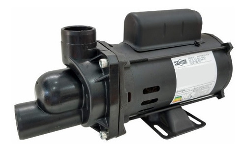 Imagem 1 de 4 de Bomba Para Hidromassagem 1 Cv Mono 220 V Had-w7c
