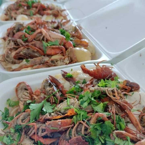 Imagen 2 de 10 de Langosta Australiana Redclaw Crayfish Congelada Chica 1kg