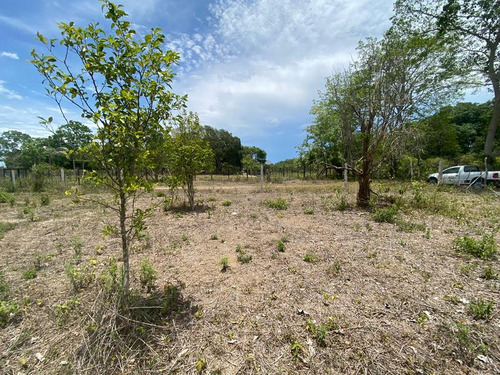 Venta Terreno 818.37 M² Col. Juana Moza Tuxpan Veracruz
