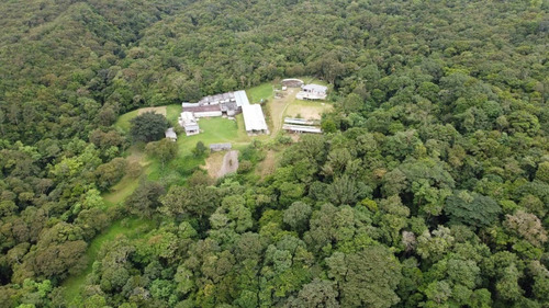 Imagen 6 de 22 de N.m. Finca En Venta En Capacho