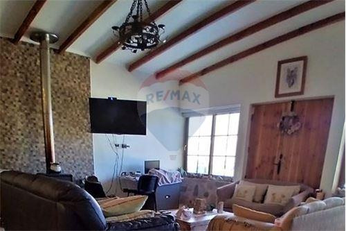 Campo En Venta - Colliguay- Iv Region-paltas