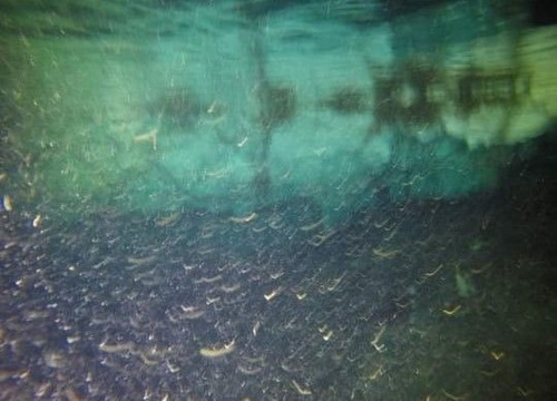 Venta Terreno Con Cenote En Tulum
