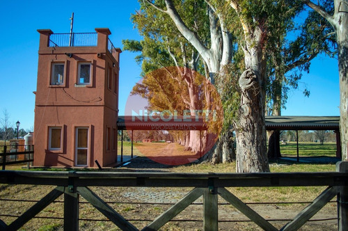 Imagen 11 de 13 de Venta Lote| La Asuncion | Lote Central | 100% Financiación